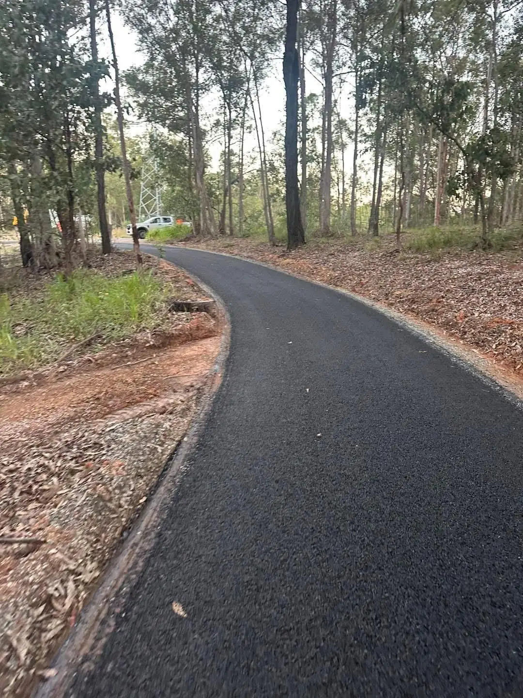 Curved asphalt driveway through wooded bushland.